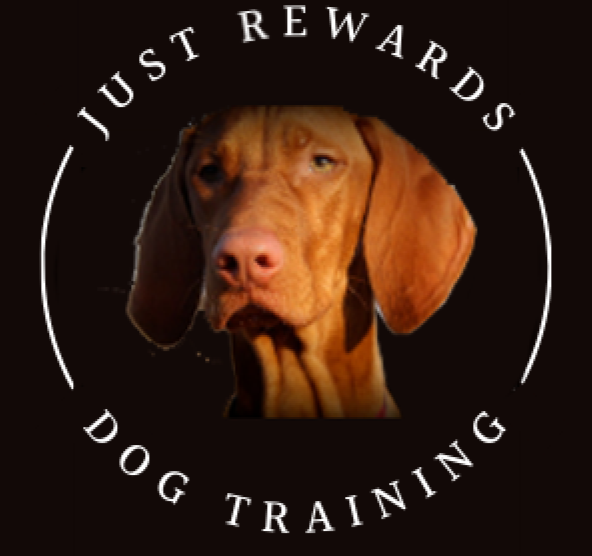 Just Rewards Individual and Dog Training Classes - About Me